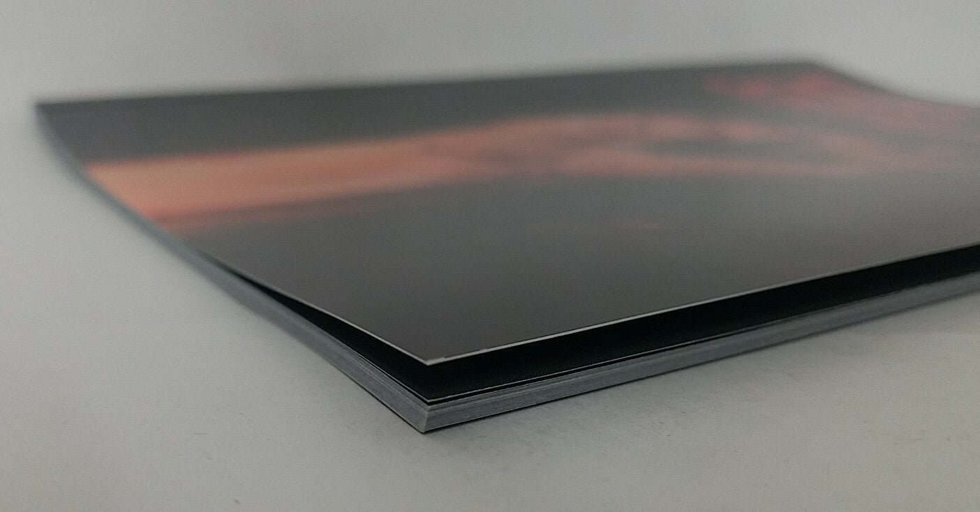 Night of the Living Dead Day of the Undead (2012) TPB Companion SC Avatar New