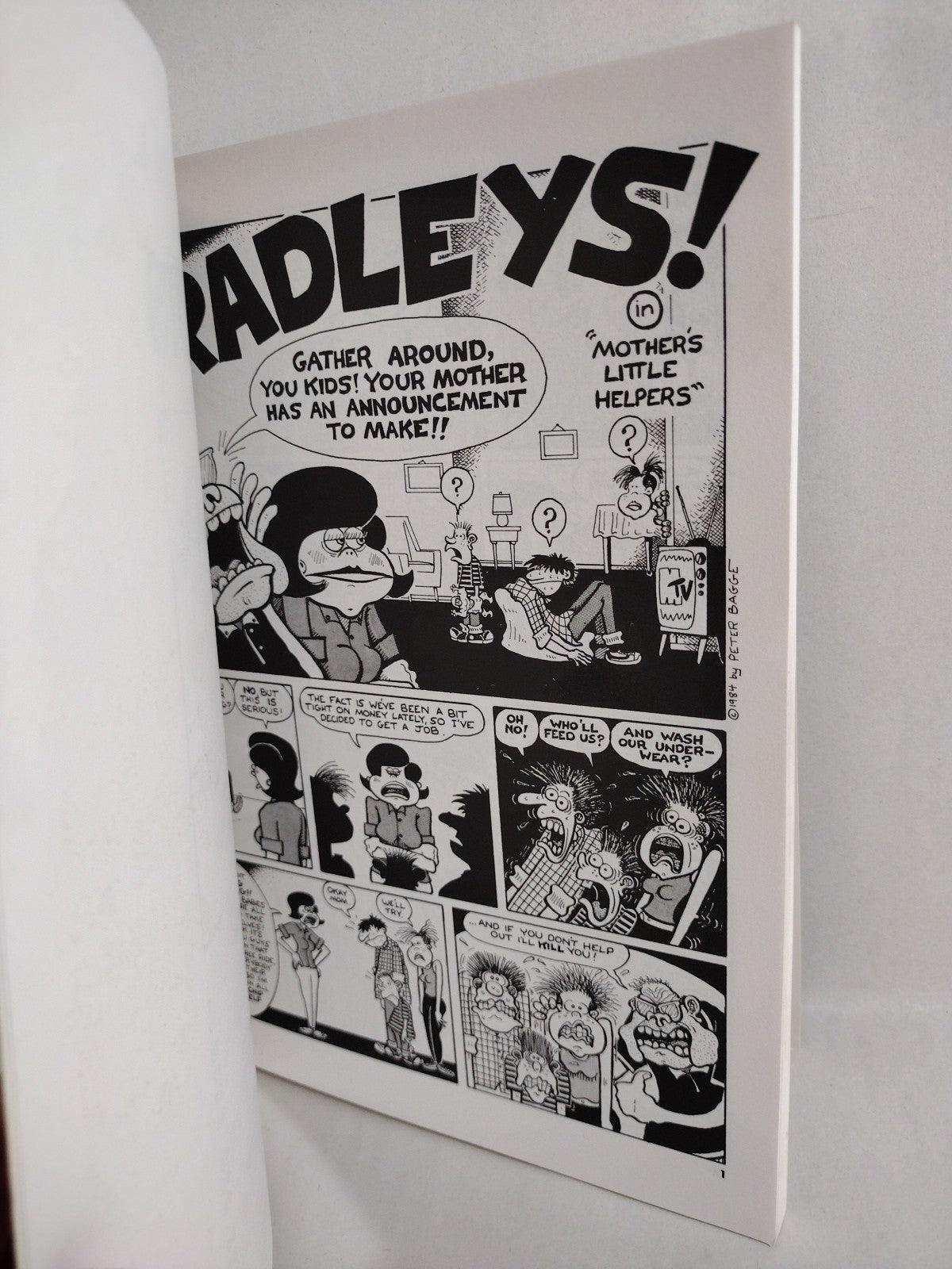 Bradley's The (1989) Peter Bagge Fantagraphics 1st TPB