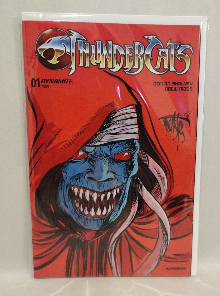 Thundercats #1 (2024) Dynamite Sketch Cover Comic W Original DCastr Mumm-Ra Art