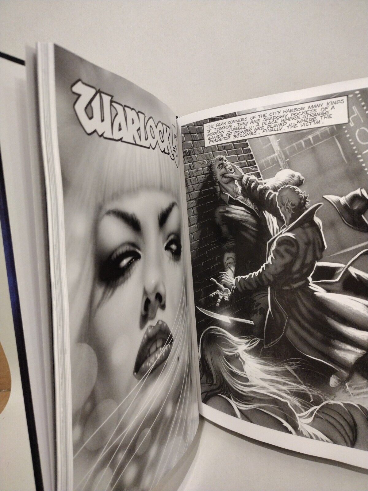Warlock 5 Omnibus (2024) Outland Hardcover Den Beauvais Gordon Derry New