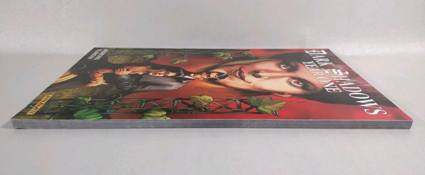 DARK SHADOWS YEAR ONE + VAMPIRELLA (2013) Dynamite Comic TPB SC LOT New