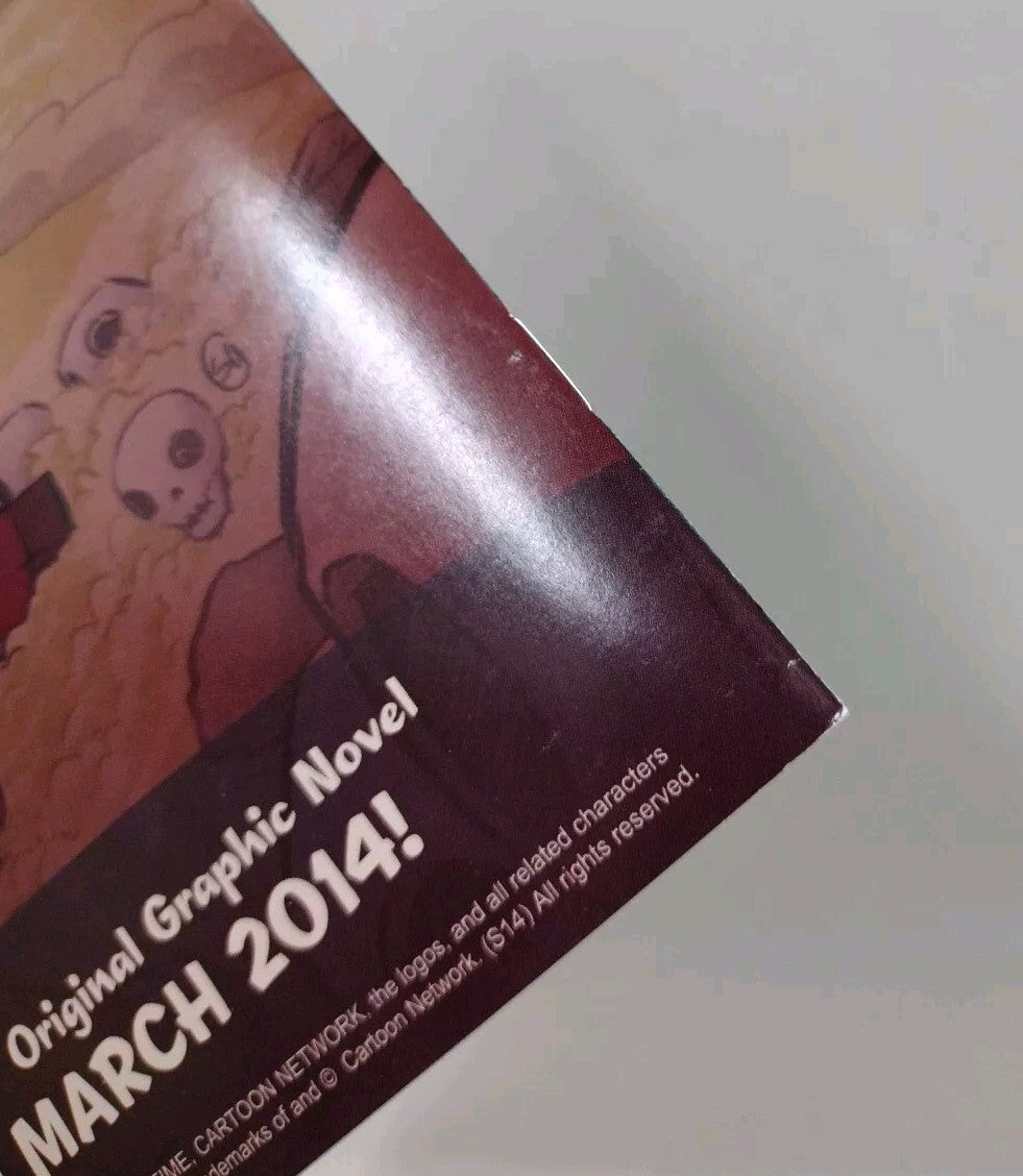 Adventure Time #24 (2014) Boom Studios Comic Brad McGinty Cover B BILLY!