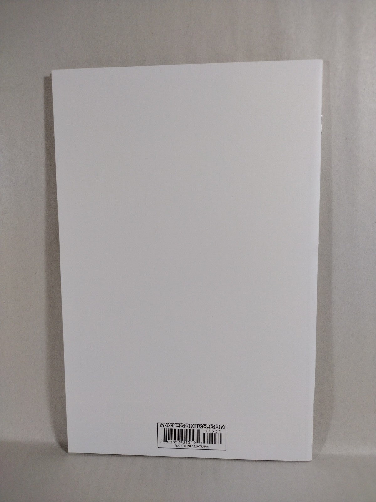 Walking Dead #115 (2013) Image Comic Blank Sketch Variant Cover New NM