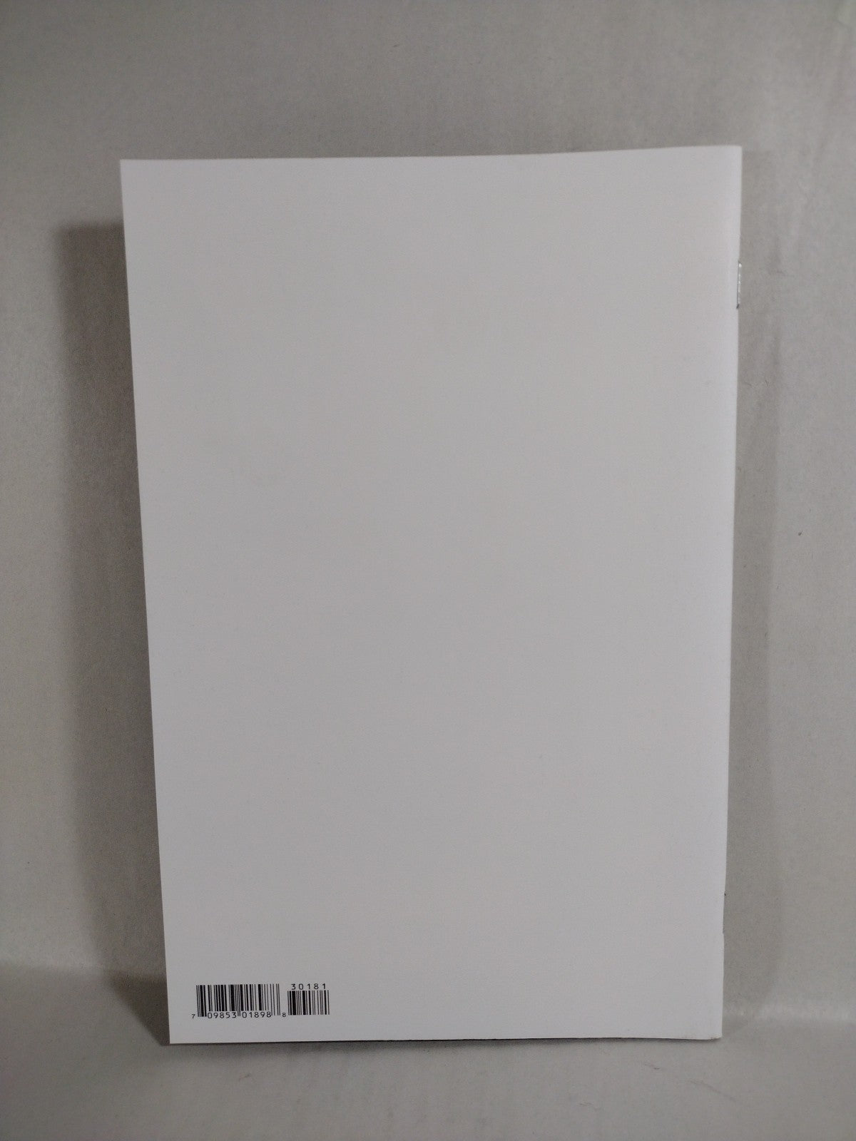 Spawn #301 (2019) Image Comic Blank Sketch Cover Variant New NM