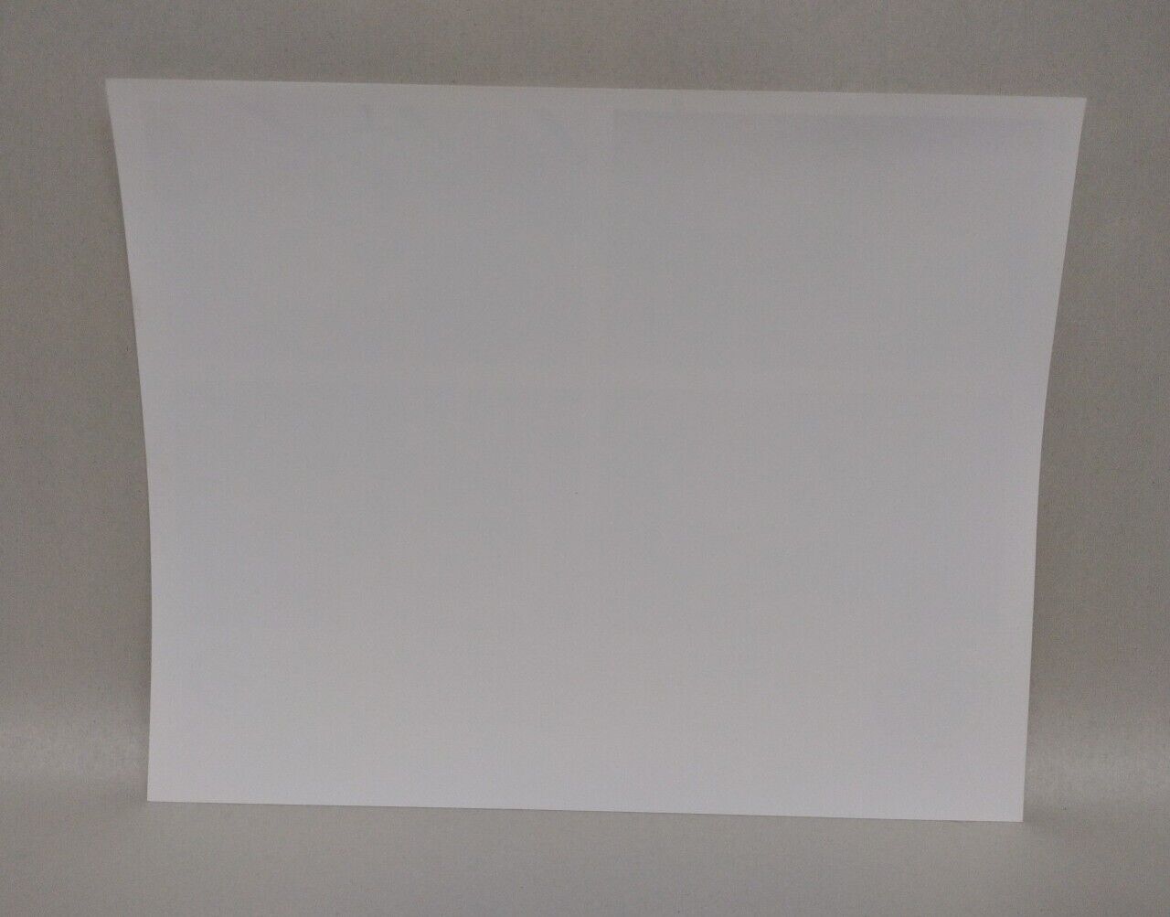 Saban's The Why Why Family (1996) 8 X 10 BW Glossy Photo Print Set Lot Of 4