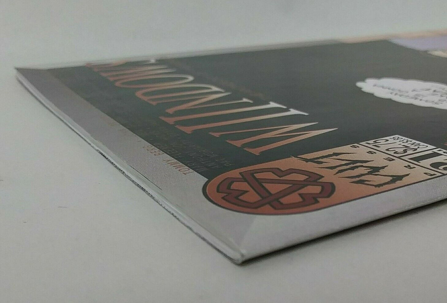 Wiindows (1994) #21 Cult Press Comic Ed Bubaker Low Life Neil Gaiman Autobiograh