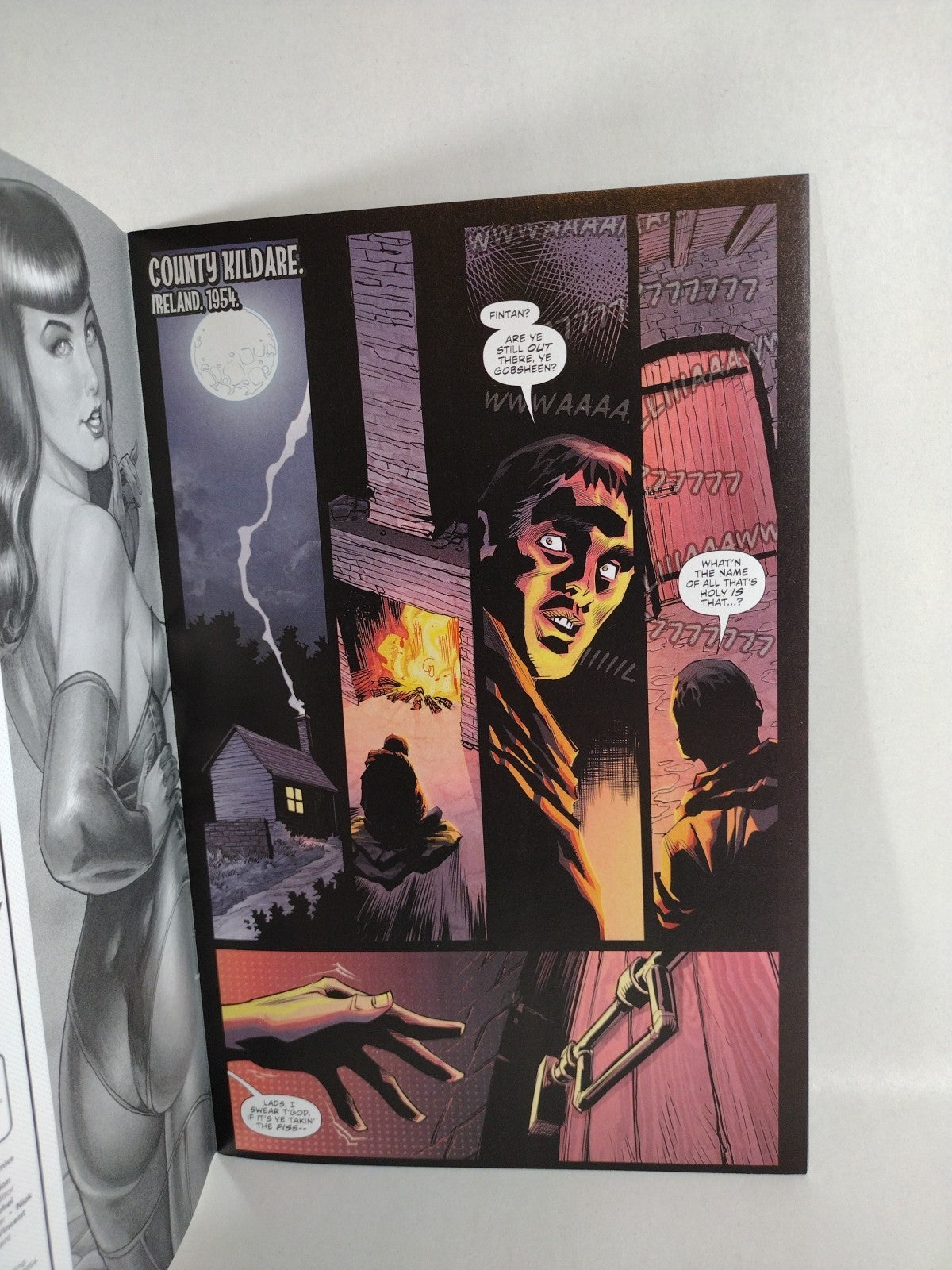 Bettie Page Curse Of The Banshee #1 (2021) Dynamite Blank Cover Variant Comic NM