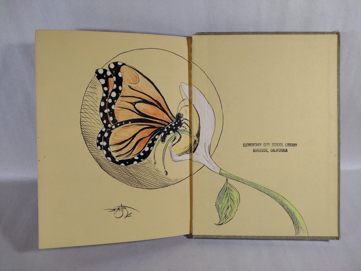 Monarch Butterfly 1960 Discarded Library Book W Original Dave Castr Color Art
