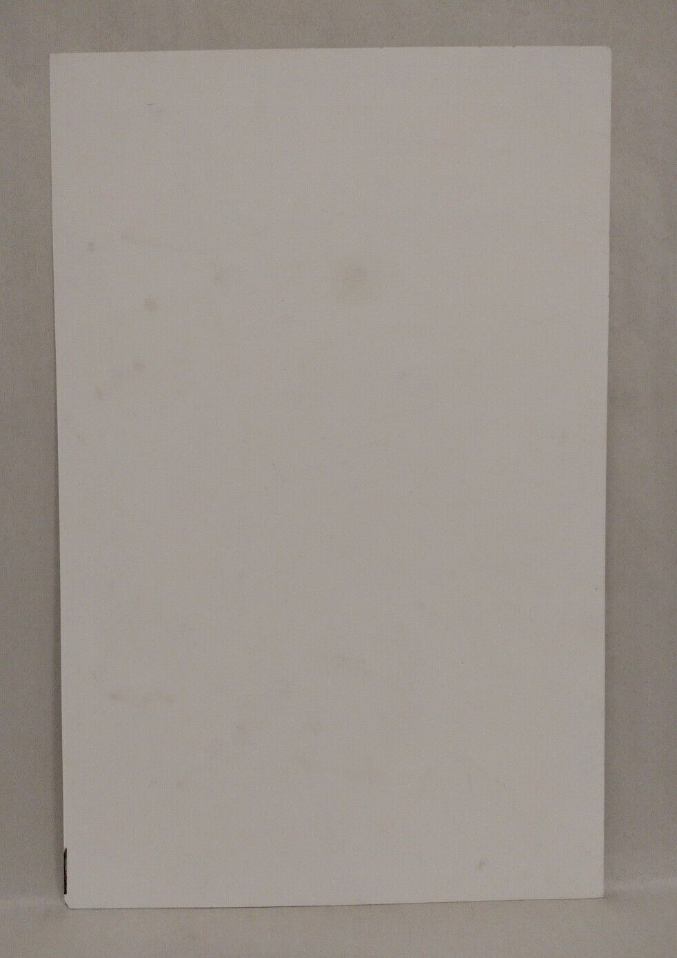 Conan The Barbarian 1 Tim Tyler (2016) Original Cover Recreation Art 11 X 17"