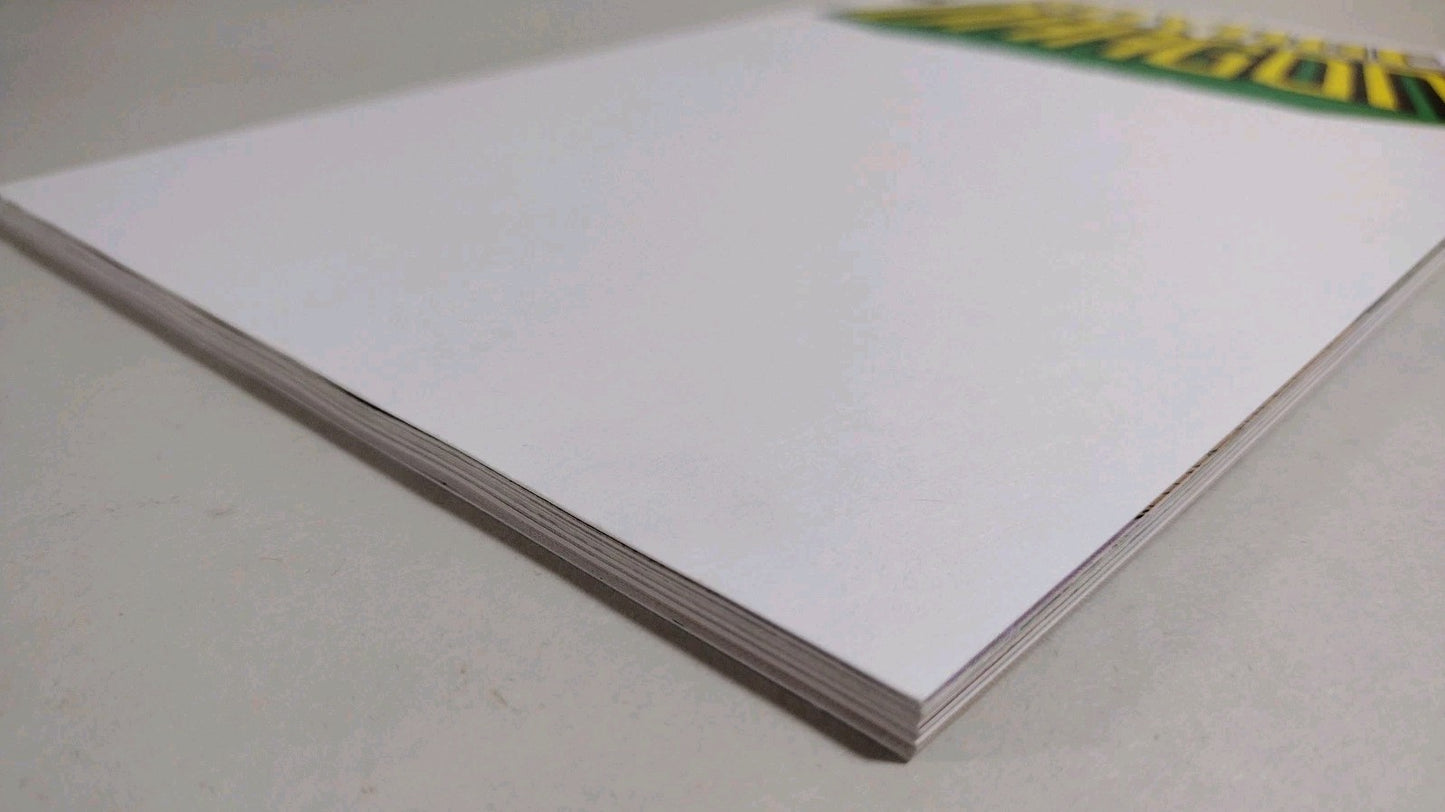 Savage Dragon #250 (2020) Image Comic Blank Sketch Variant Cover New VF-NM