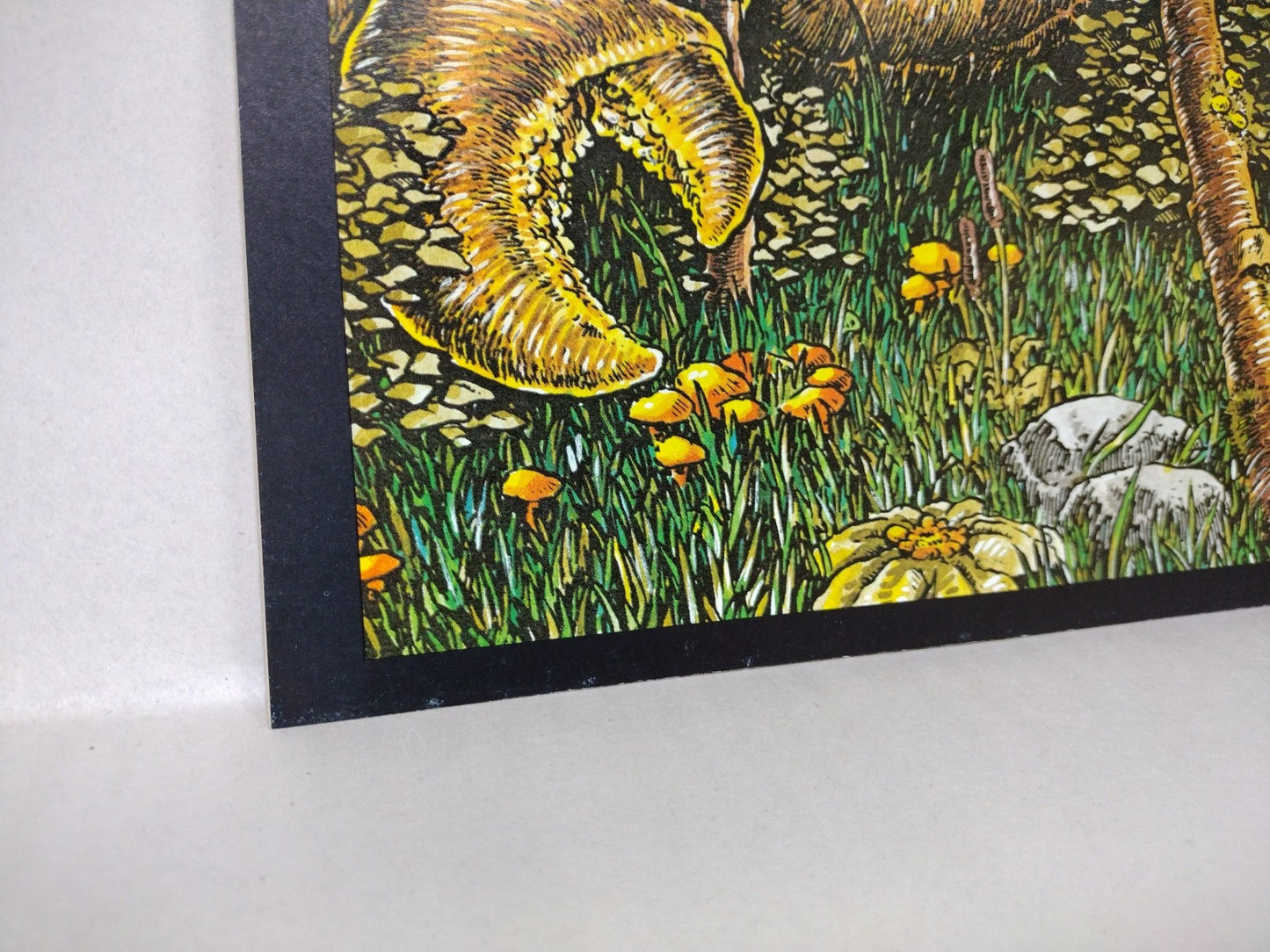 Fugitoid #1 (1985) Mirage Magazine Comic TMNT Triceritons 1st Appearance VF-NM