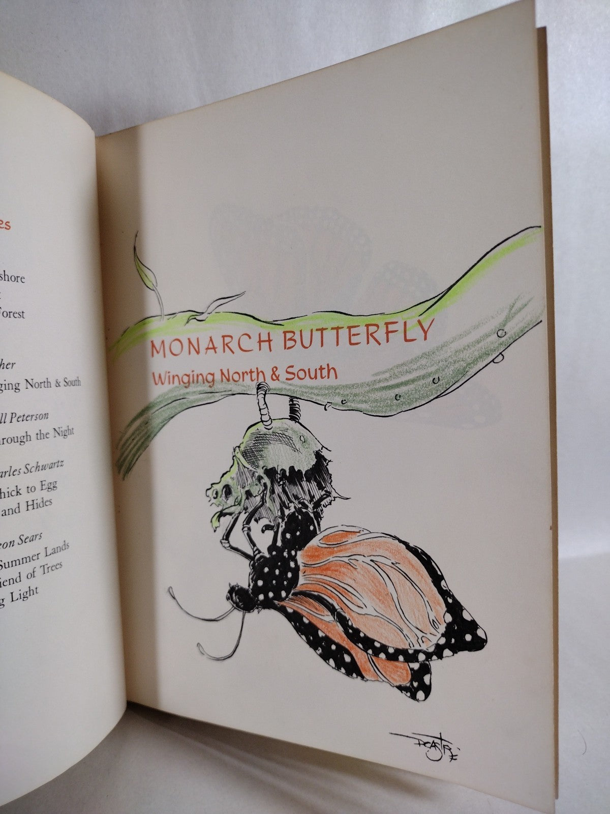 Monarch Butterfly 1960 Discarded Library Book W Original Dave Castr Color Art