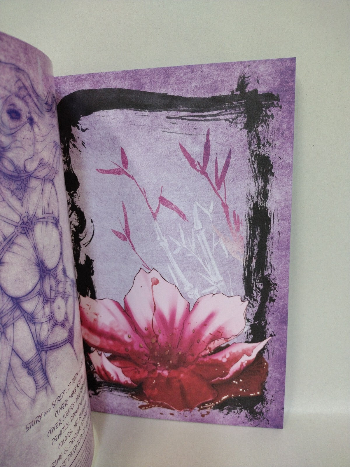 Jp Roth REM:8 #1 (2013) Rothic Comic JP Roth Dawn McTeigue Cover Art NM ...