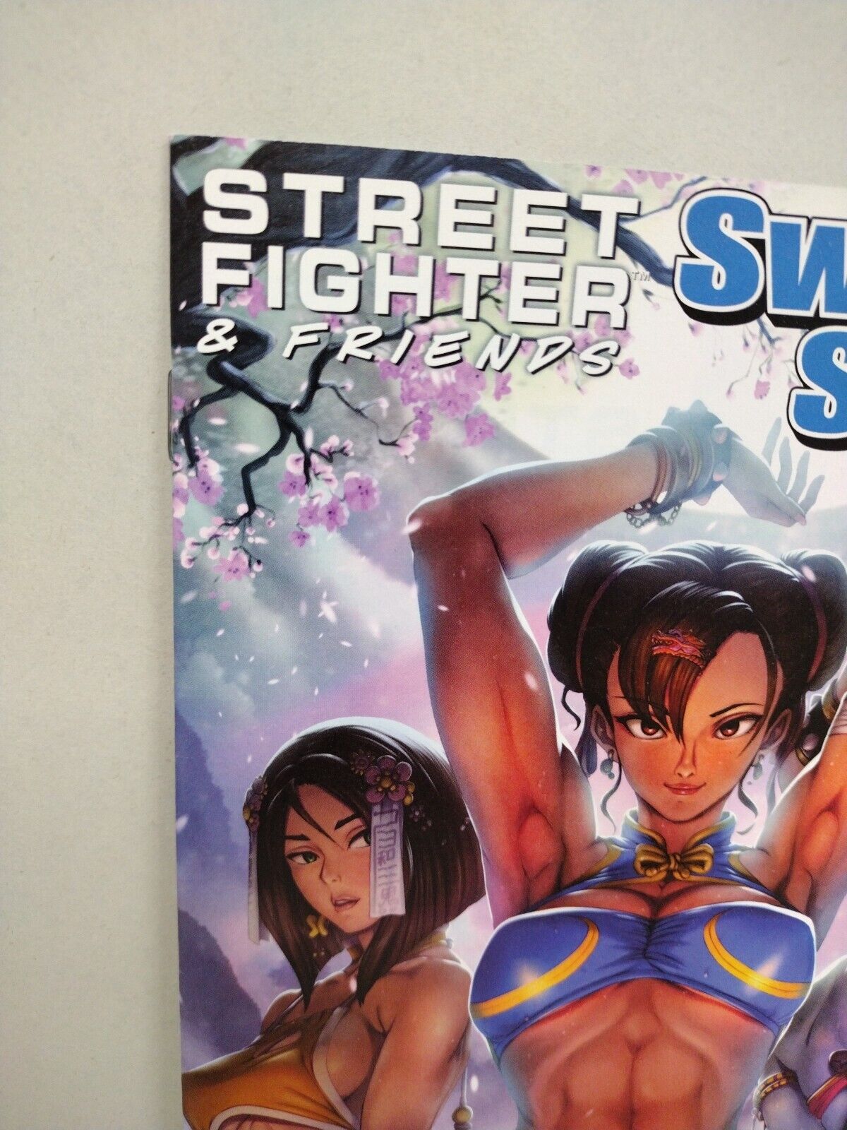 Street Fighter And Friends 2017 Swim Suit Special #1 Cover A Udon Capcom VF-NM