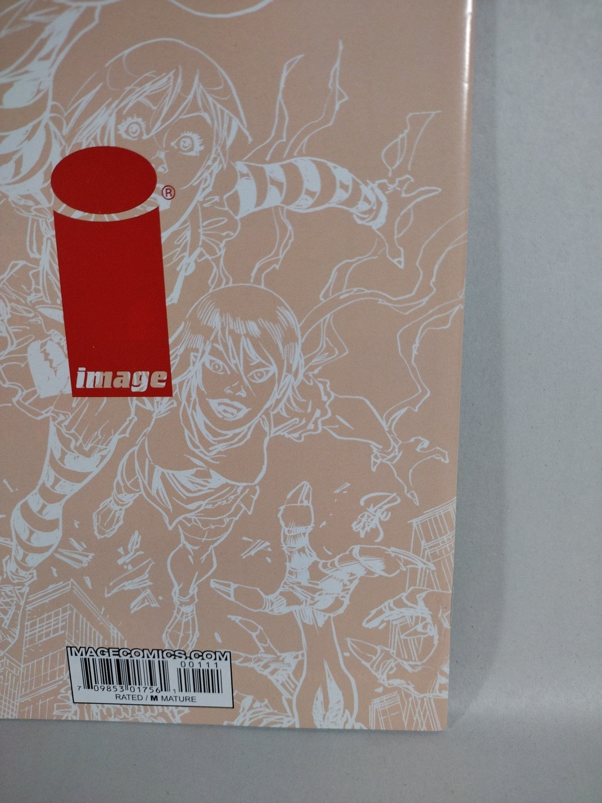 Wayward #1 (2014) Image Comic Erik Larsen RCCC Variant Cover J Signed Jim Zub NM