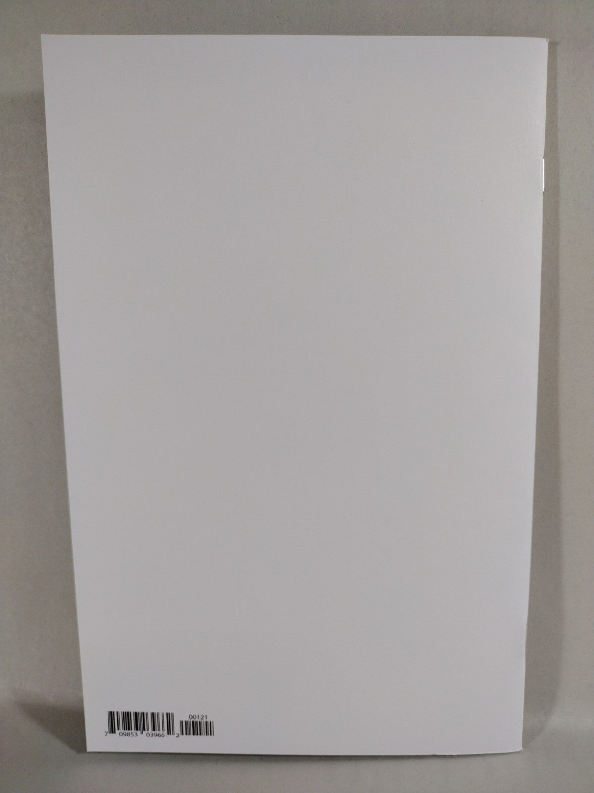 Rat City #1 (2024) Image Comic Spawn Universe Blank Sketch Cover Variant Comic