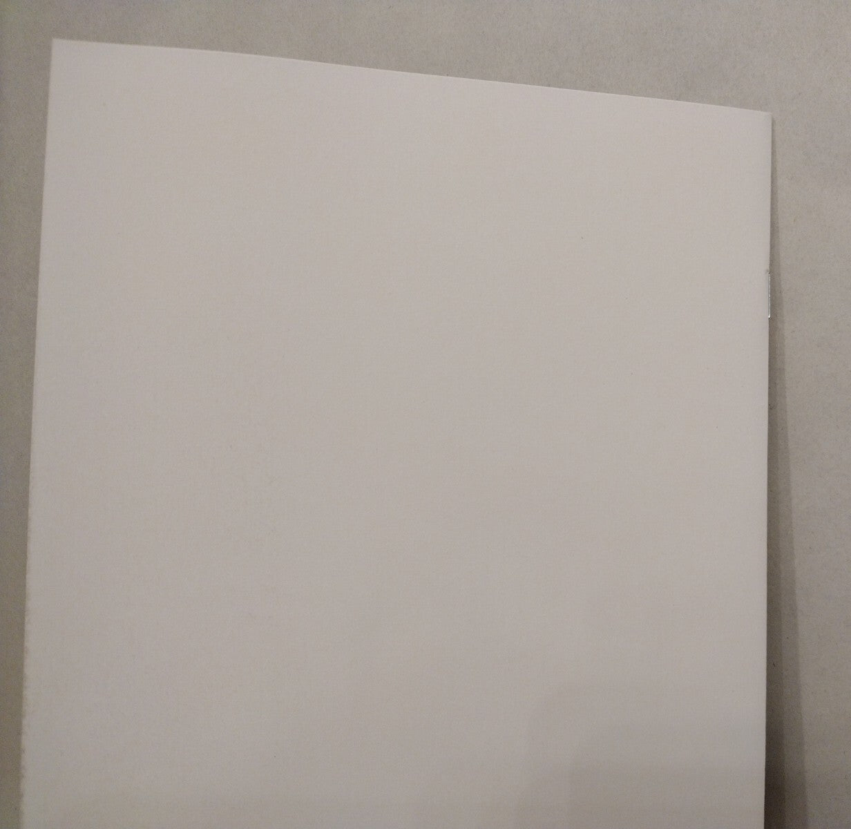 Last Barbarians 1 (2023) Blank Cover Variant Image Comic w Original DCastr Art