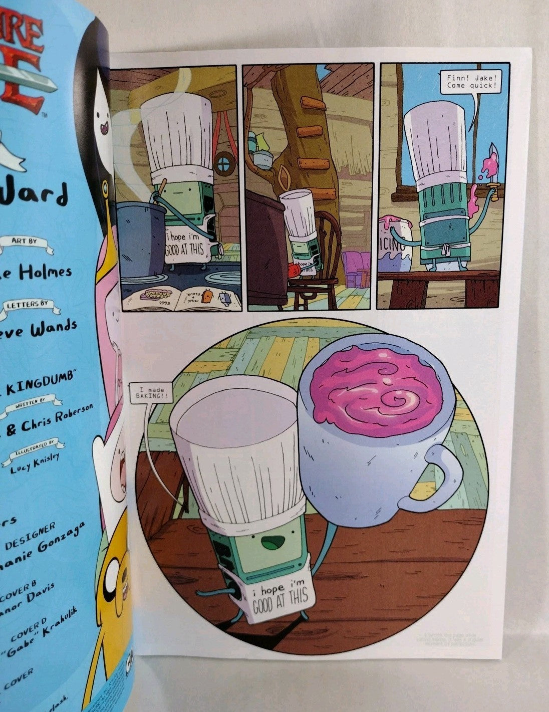 Adventure Time #5 (2012) Boom Comic Gabe Krahulik Virgin Variant Cover D VF