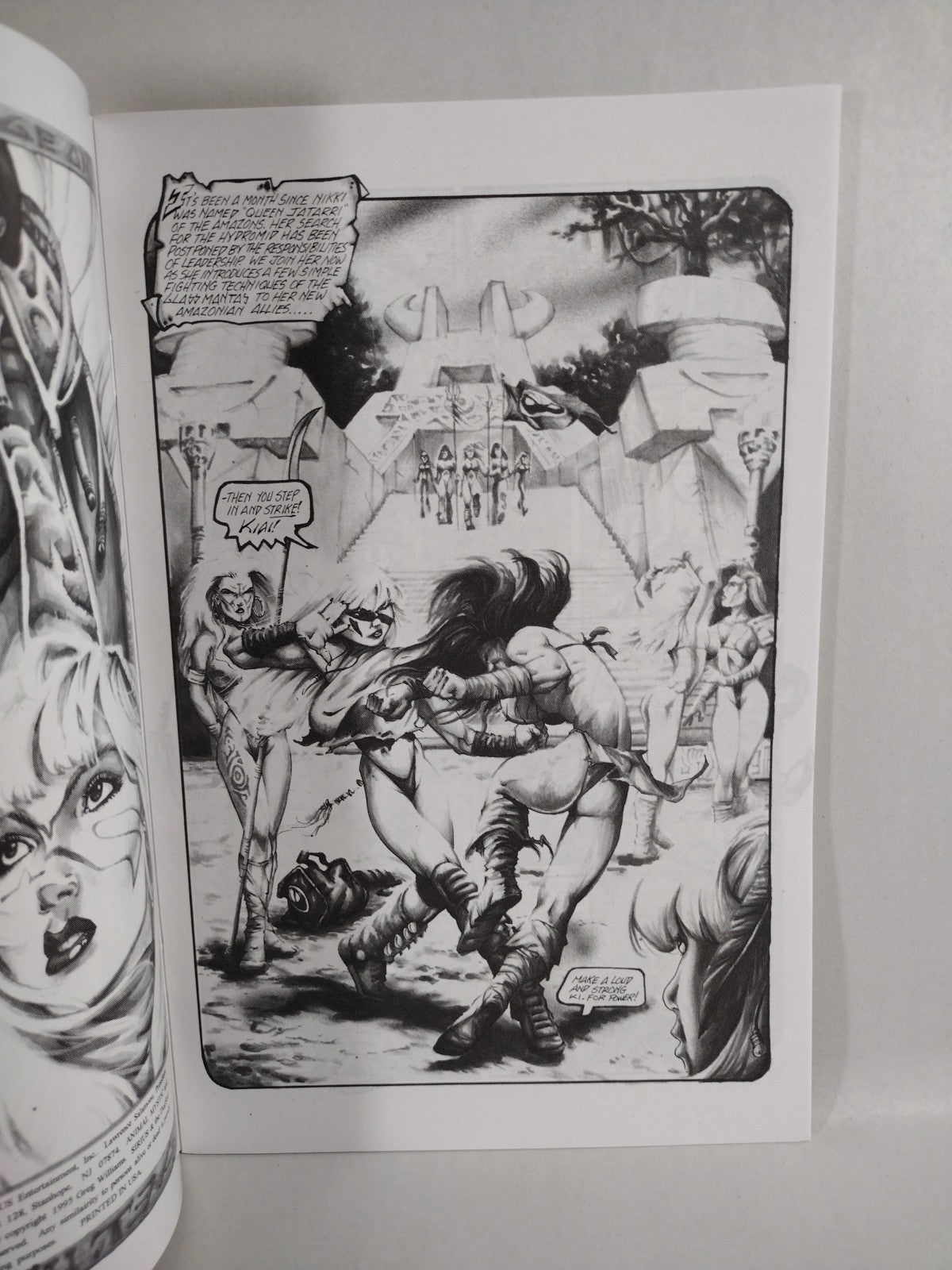 Animal Mystic (1995) Sirius Comic Lot Set #1 2 3 4 Dark One Greg Williams VF-NM