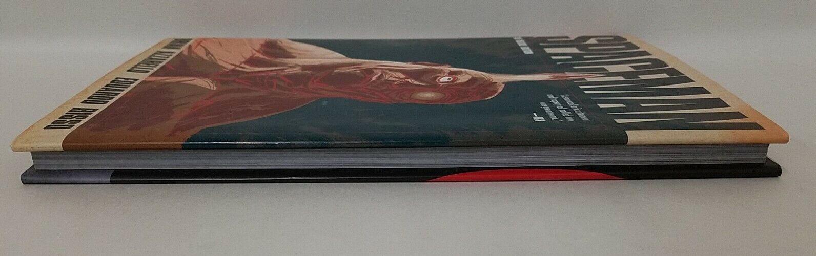 Spaceman (2012) Vertigo HC Brian Azzarello Eduardo Risso