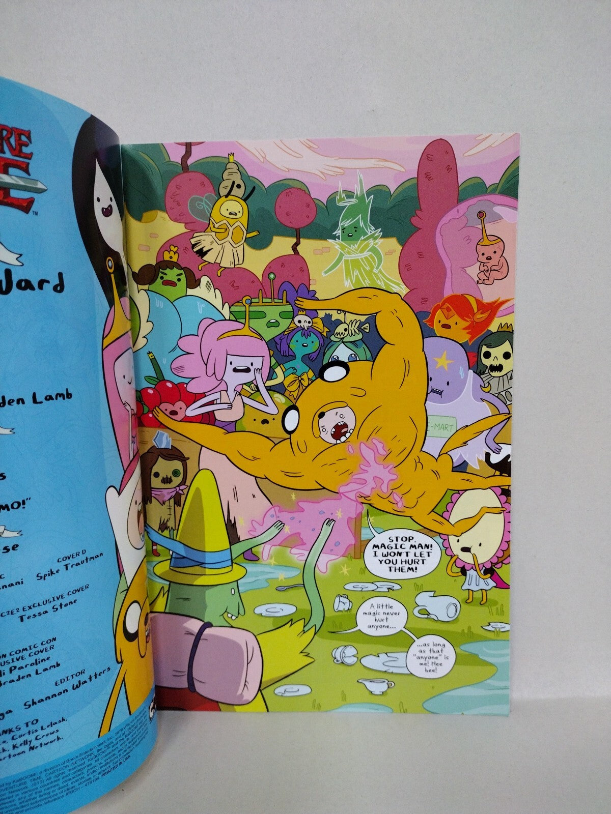 Adventure Time #15 (2013) Boom Comic Cover D Spike Trautman Virgin Variant NM