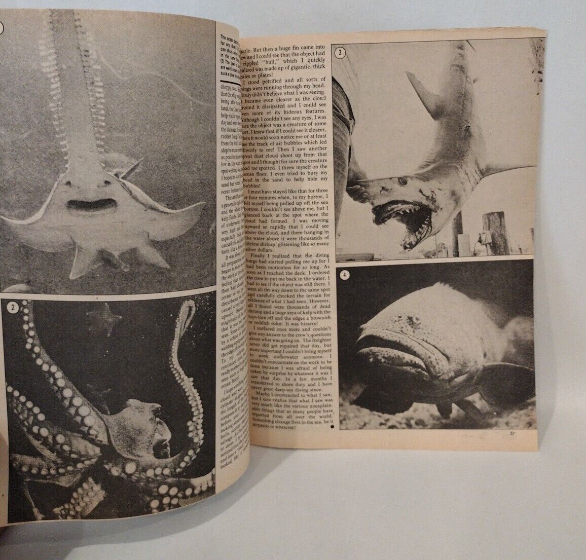 Sea Monster Special Edition (1977) Country Wide Communications Magazine