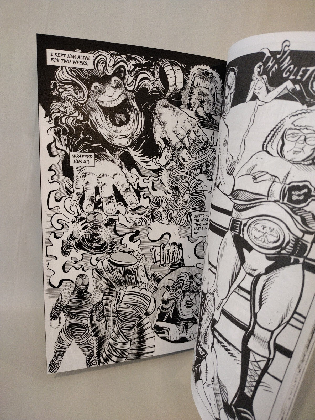 Potato Mummy Annual#1 (2022)Blank Cover Variant Comic W Original DCastr Art COA 