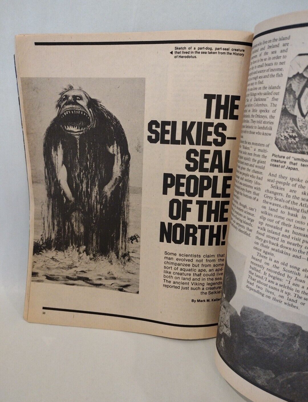 Sea Monster Special Edition (1977) Country Wide Communications Magazine