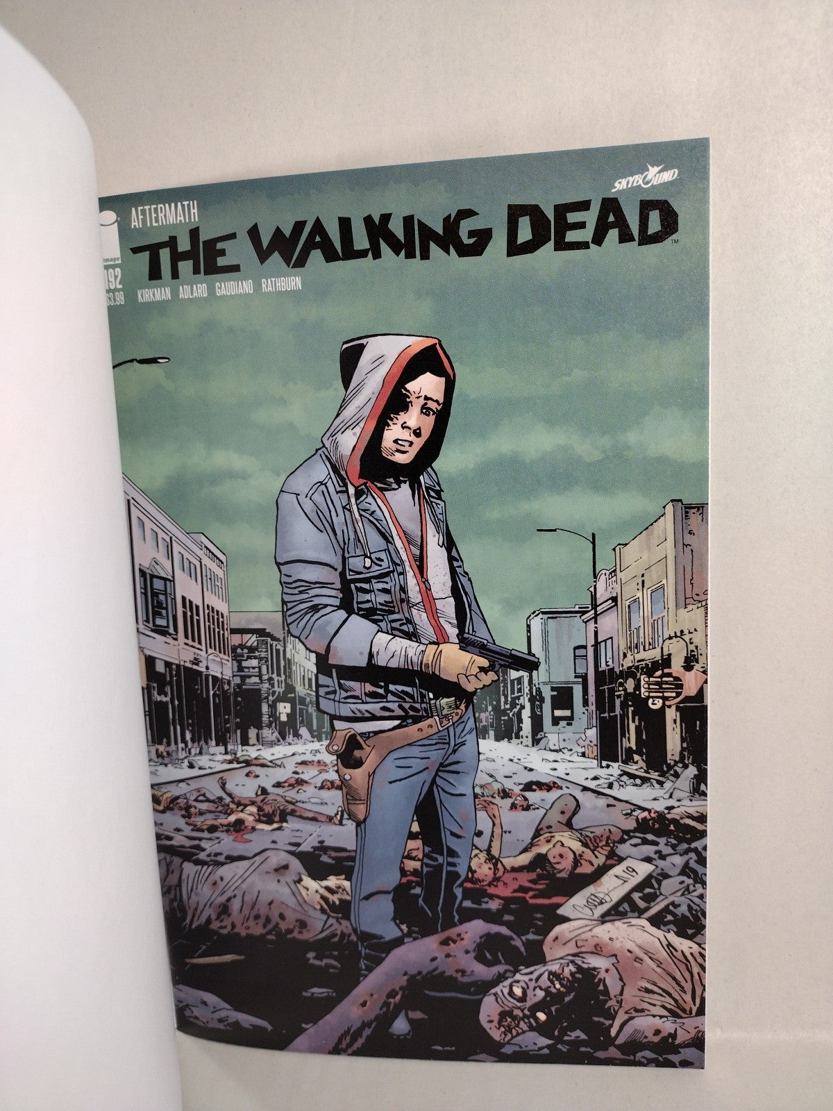 WALKING DEAD #192 (2019) Image Comic Sketch Cover w Original Dave Castr Art