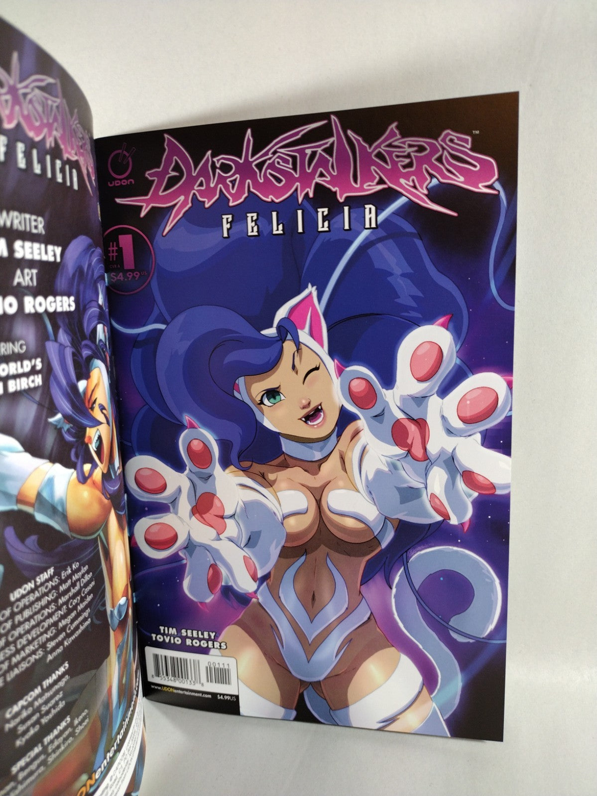 Darkstalkers Felicia #1 (2023) Udon Capcom Blank Sketch Cover New NM