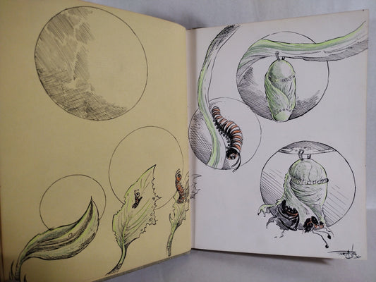 Monarch Butterfly 1960 Discarded Library Book W Original Dave Castr Color Art