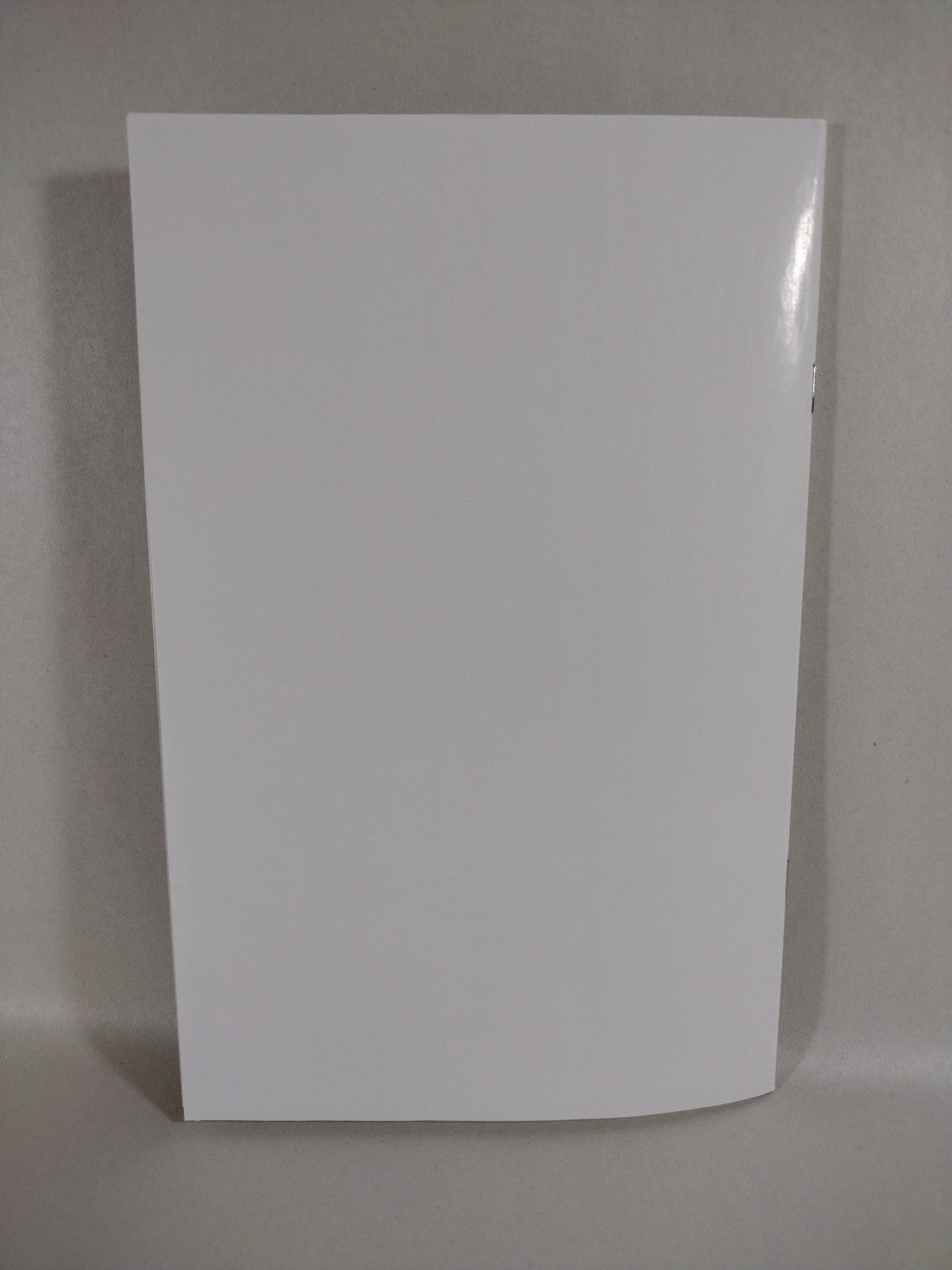 Absolute Wonder Woman #1 (2024) DC Comic Blank Sketch Variant Cover