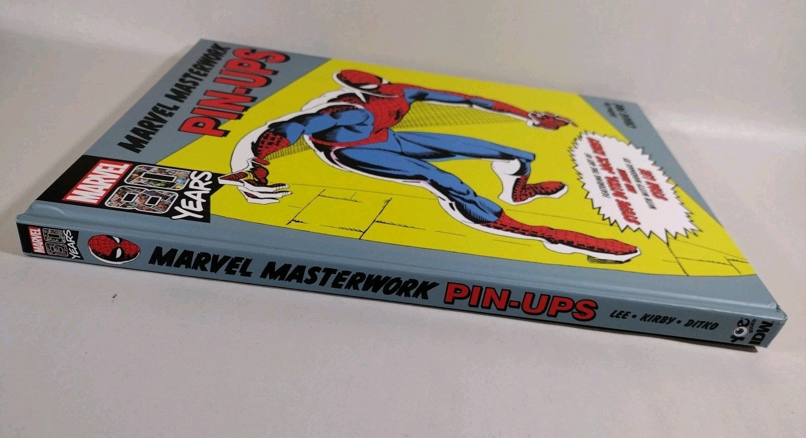 MARVEL MASTERWORKS PIN-UP (2019) IDW Oversized Hardcover Steve Ditko Jack Kirby 