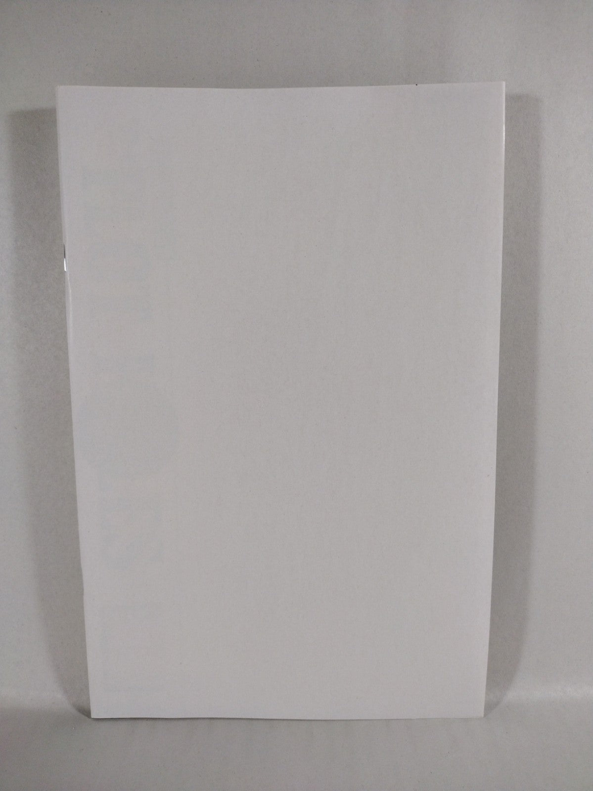 THE PLOT HOLES #1 (2023) Whatnot Massive Blank Sketch Variant Cover Comic NM