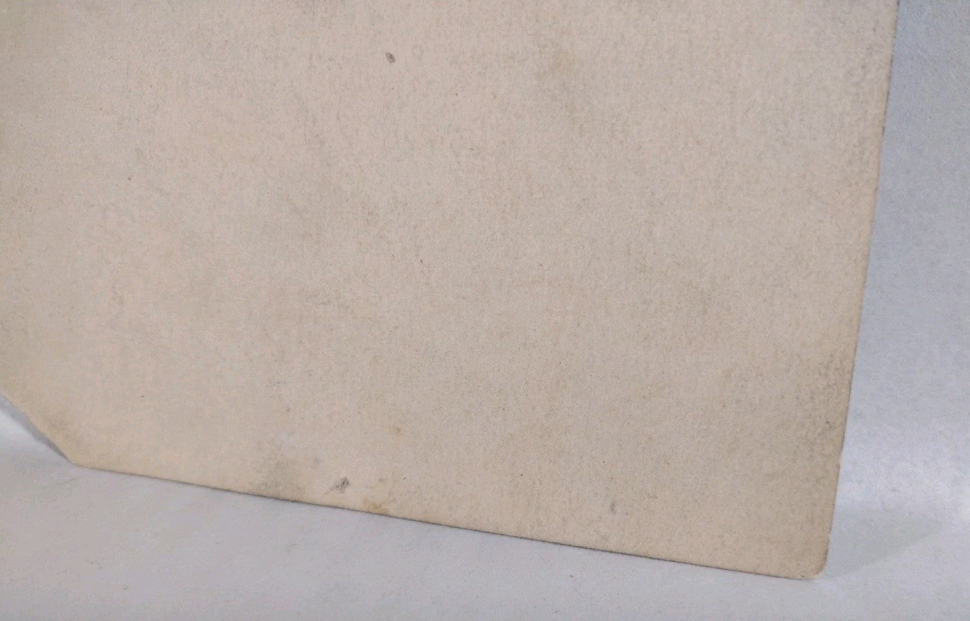 Theda Bara Vamp Silver Screen Actress 6 X 9" 1917 Sepia Photo Signed W JSA COA