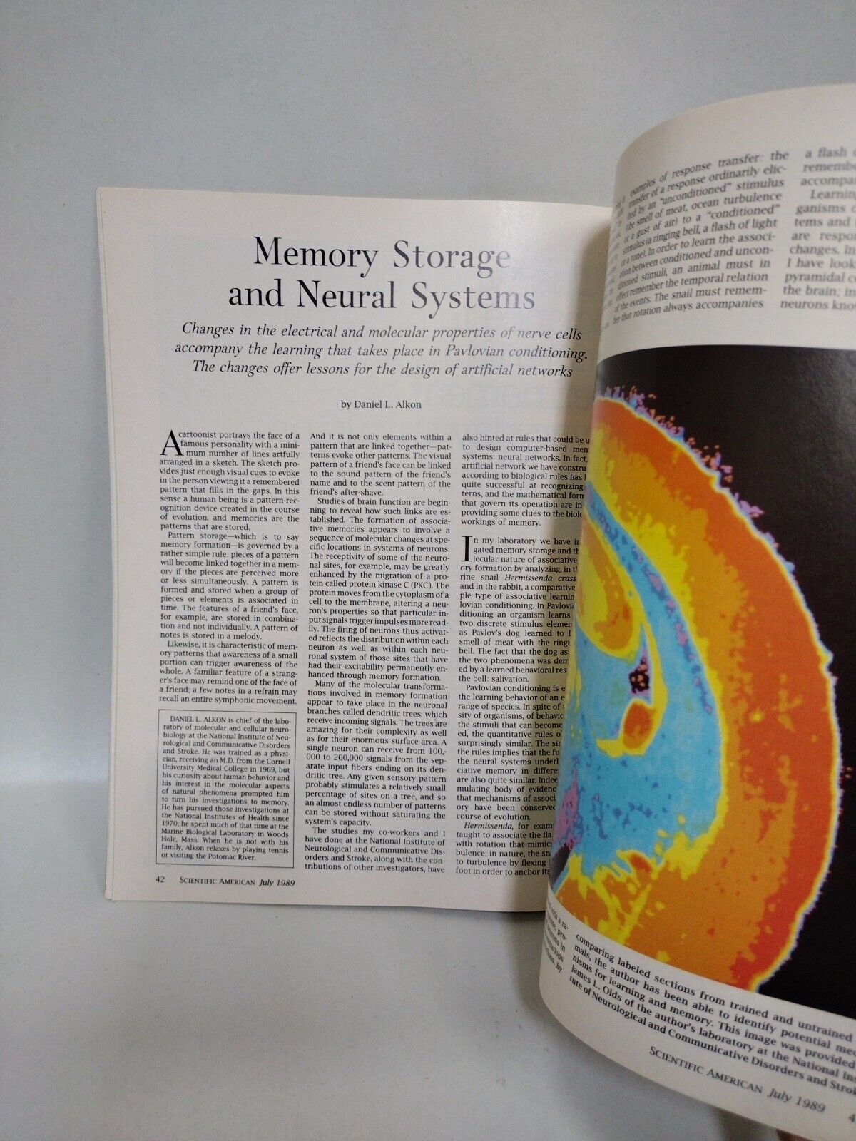 Scientific American V.261 #1 (Jul 1989) Neuroscience Volcanism At Rift VG