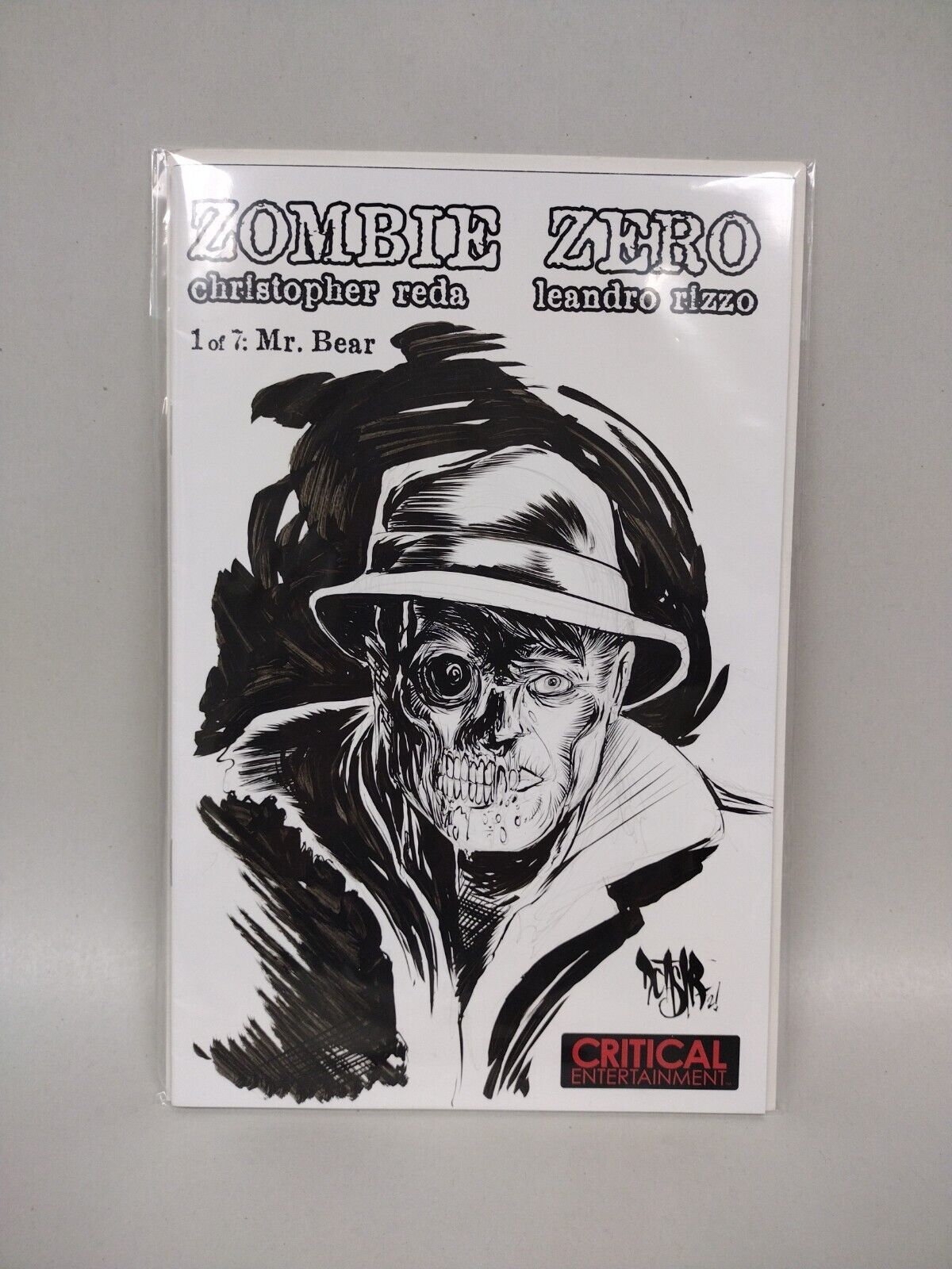 Zombie zero #1 Blank Cover Variant w Original Art Dcastr 