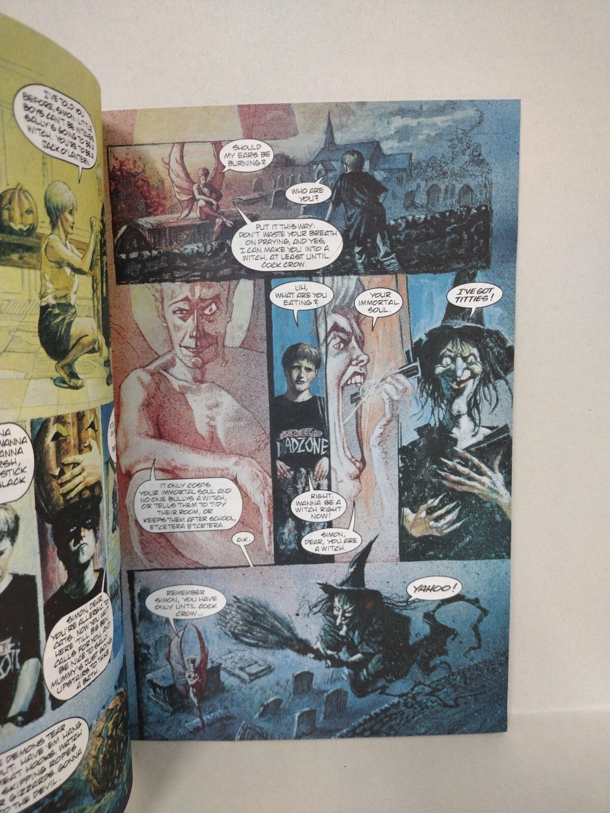 ASYLUM (1993) Complete Millennium Comic Set 1 2 3 Craig P Russell Al Williams 