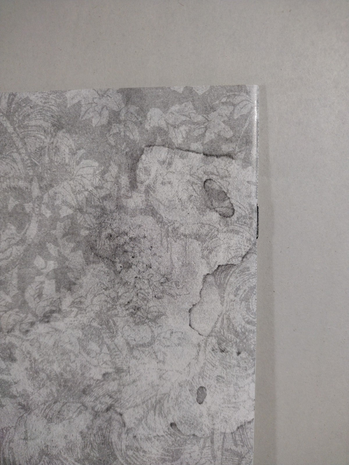 Skinbreaker #1 (2025) Image Comics Retailer Exclusive Preview Ashcan Dave Finch 