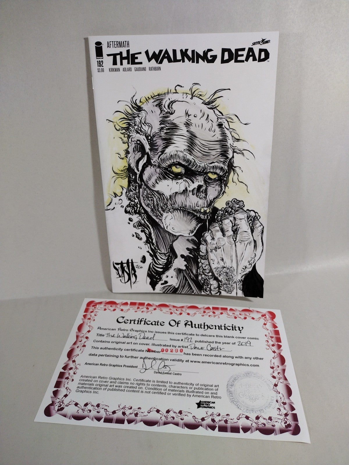 WALKING DEAD #192 (2019) Image Comic Sketch Cover w Original Dave Castr Art