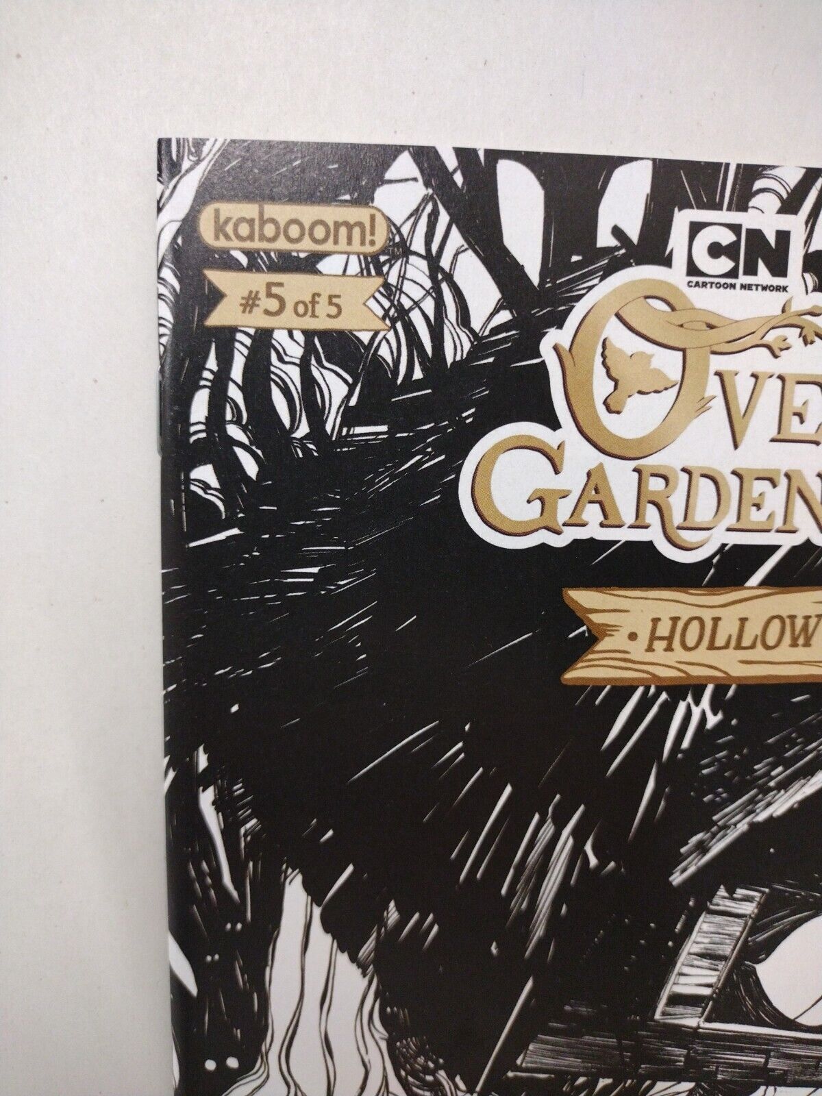 Over the Garden Wall Hollow Town #5 (2019) Preorder Hall Variant Boom Comic NM