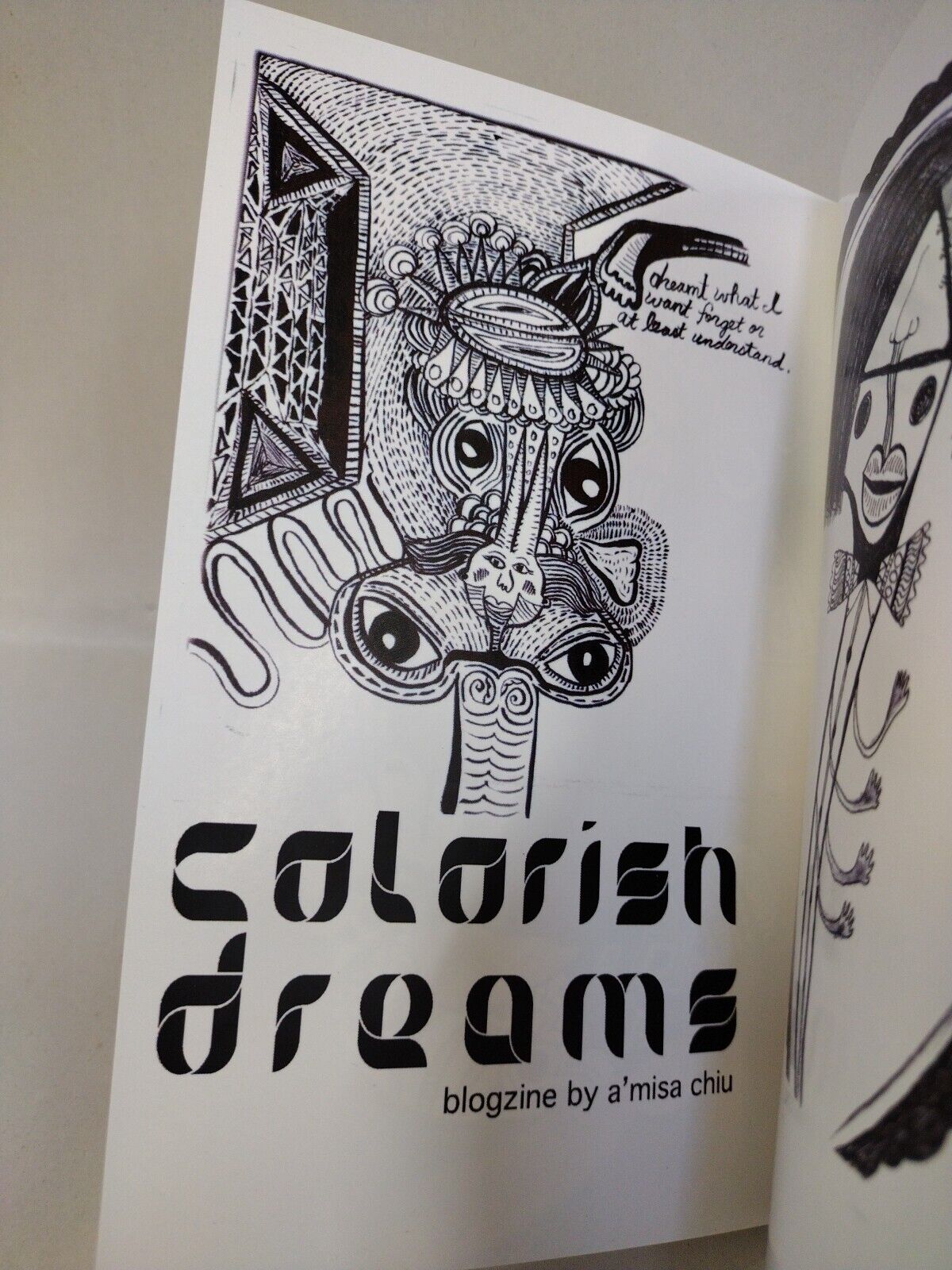 Colorish Dreams (2010) A'Misa Chiu Color Zine