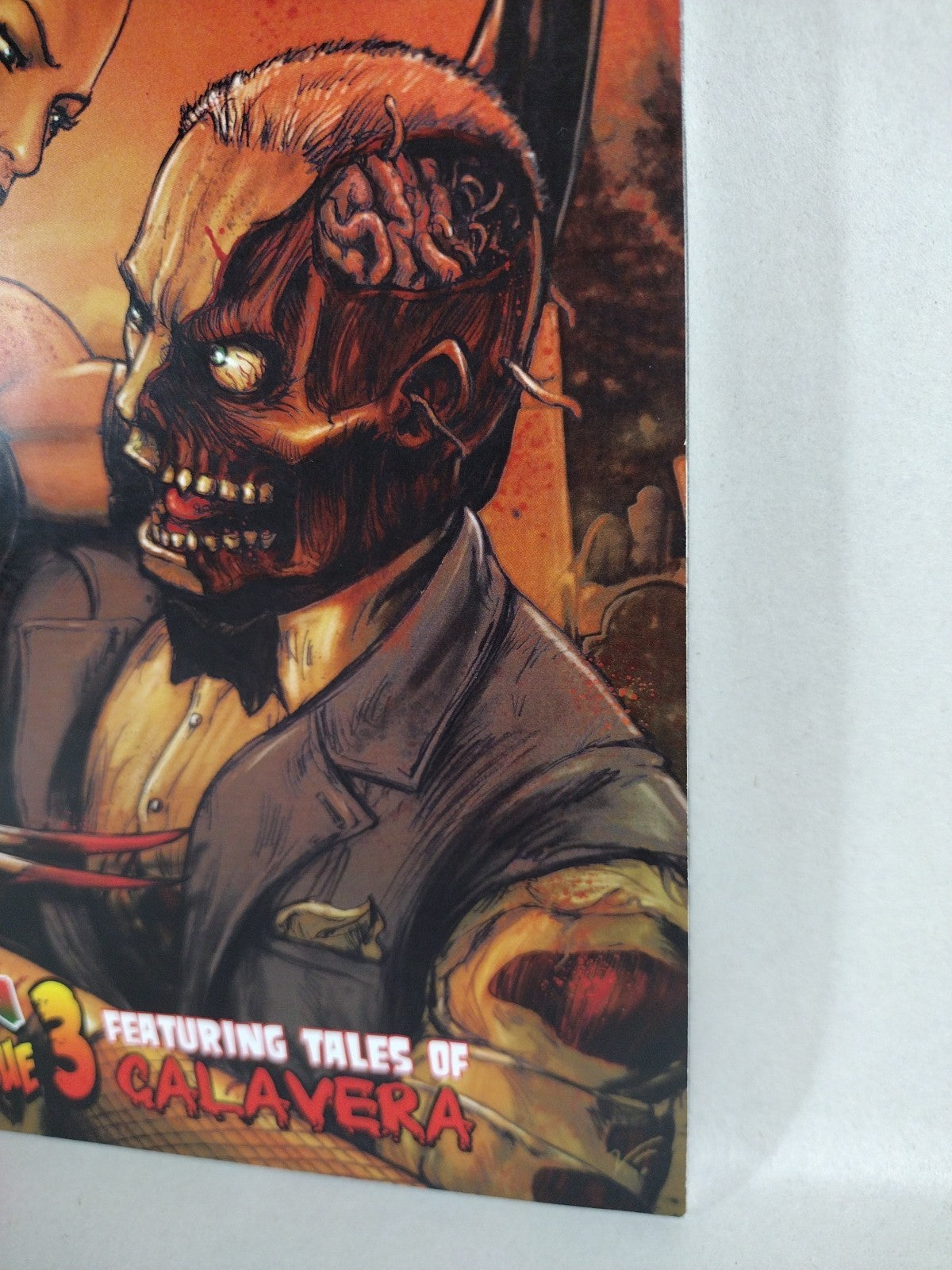 Blokes Tomb Of Terror #7 (2012) Virus Comix Calavera Teodorani Cover B VF