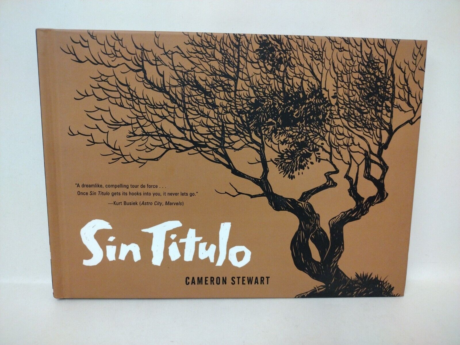 Sin Titulo (2013) Dark Horse Originals Hardcover Cameron Stewart New 1st Edition