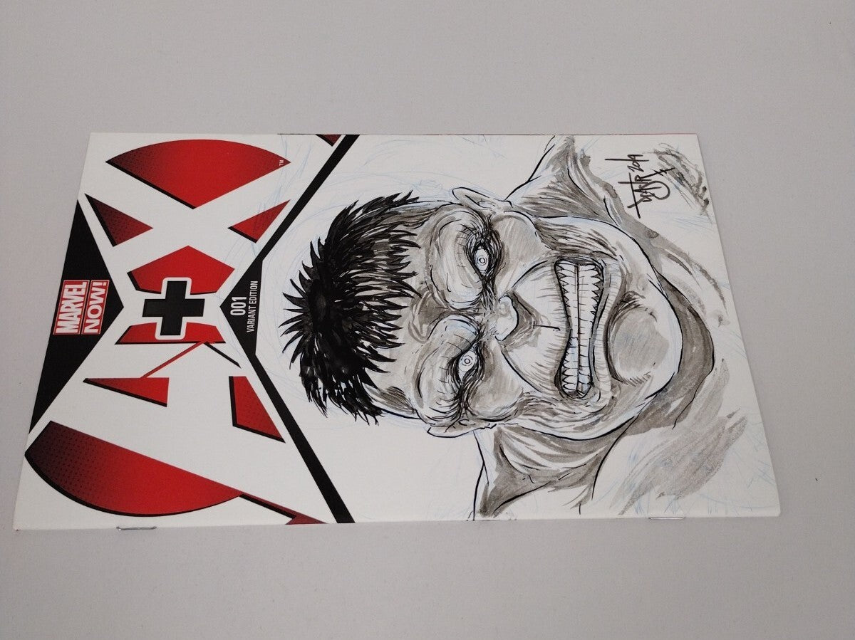 A+X Avengers X-Men 1 (2012) Marvel Sketch Cover Var W Original DCastr Hulk Art