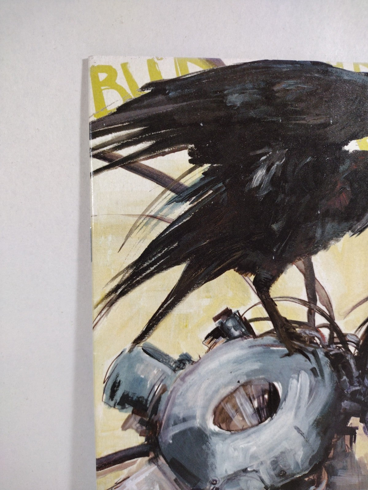 Burn #1 (2008) Camilla D' Errico Arcana Comic Variant Blank Sketch Flip Cover 