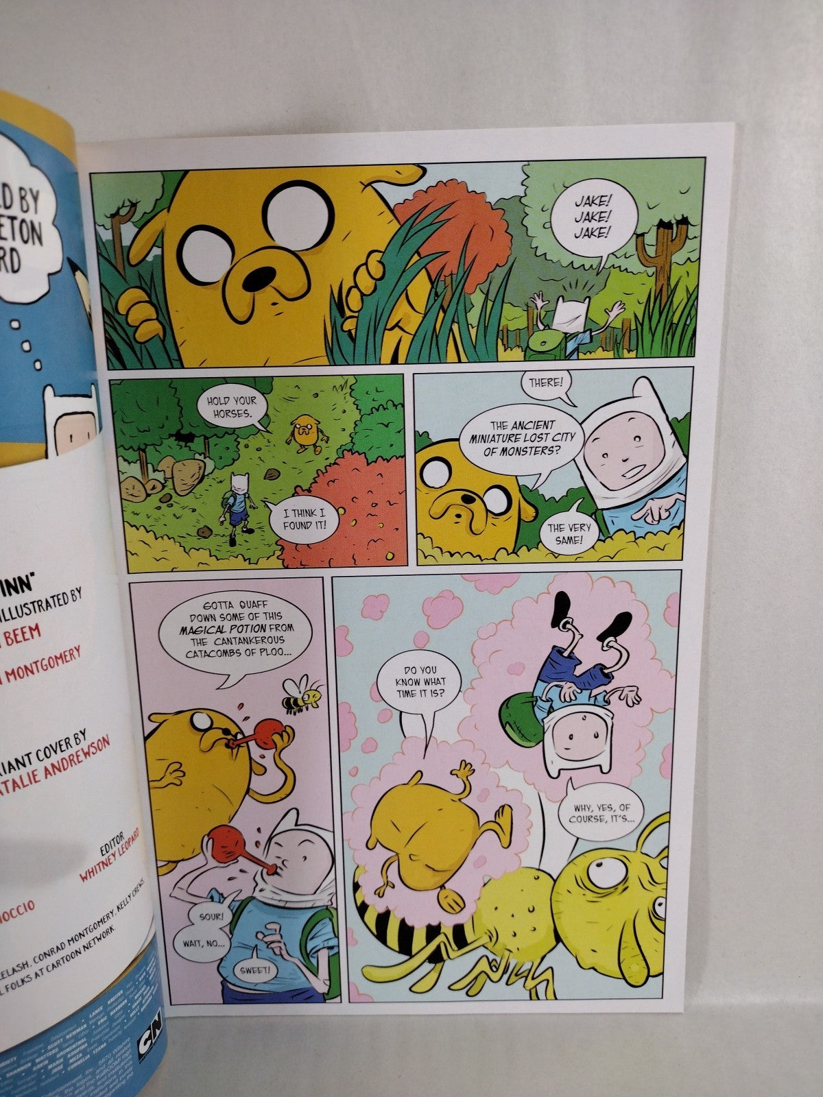 Adventure Time #25 (2018) Boom Comic Liz Pulido Cover A VF-NM