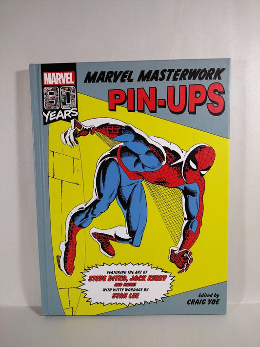 MARVEL MASTERWORKS PIN-UP (2019) IDW Oversized Hardcover Steve Ditko Jack Kirby 