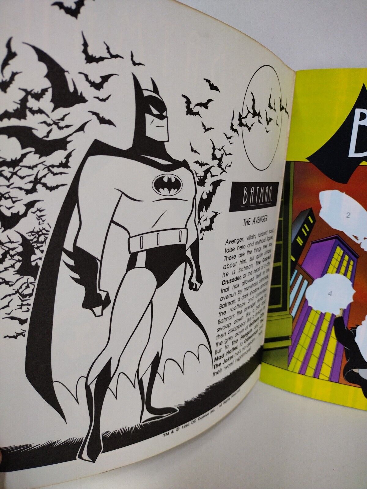 Batman Animated Series (1993) Unused Panini Sticker Album Book