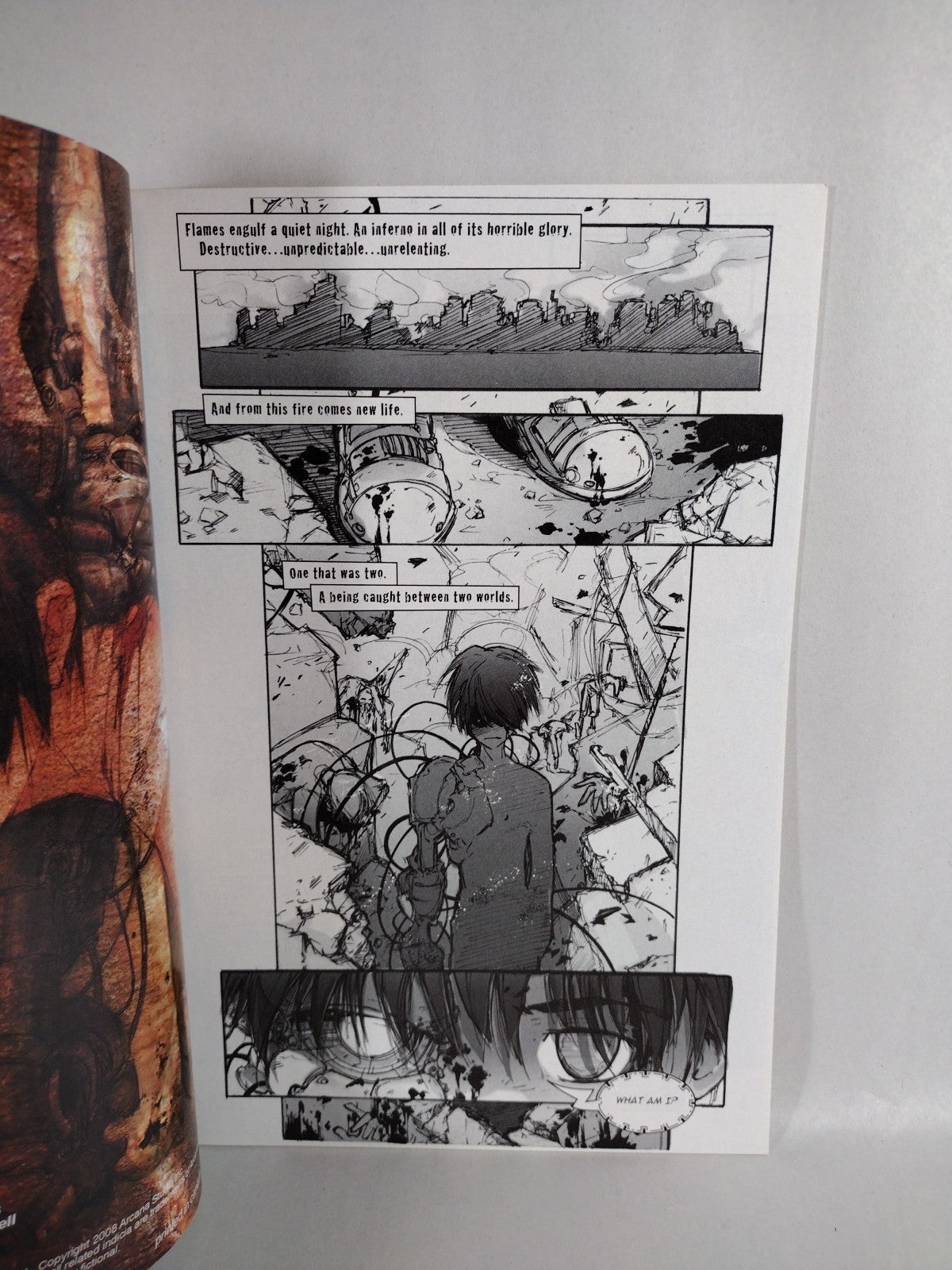 Burn #1 (2008) Camilla D' Errico Arcana Comic Variant Blank Sketch Flip Cover 